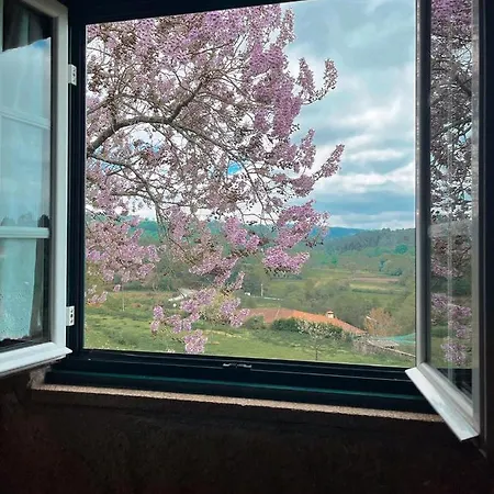 Quinta Do Cambeiro Alloggio in famiglia