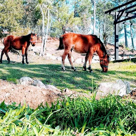 Quinta Do Cambeiro Βιάνα ντο Καστέλο
