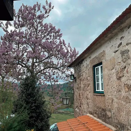 Quinta Do Cambeiro