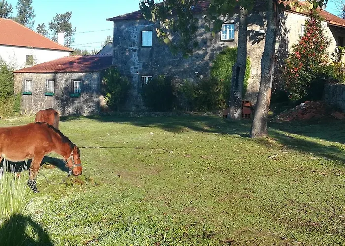 Quinta Do Cambeiro Privatunterkunft *