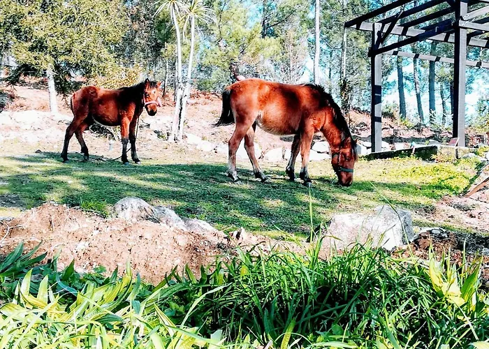 Quinta Do Cambeiro Viana do Castelo