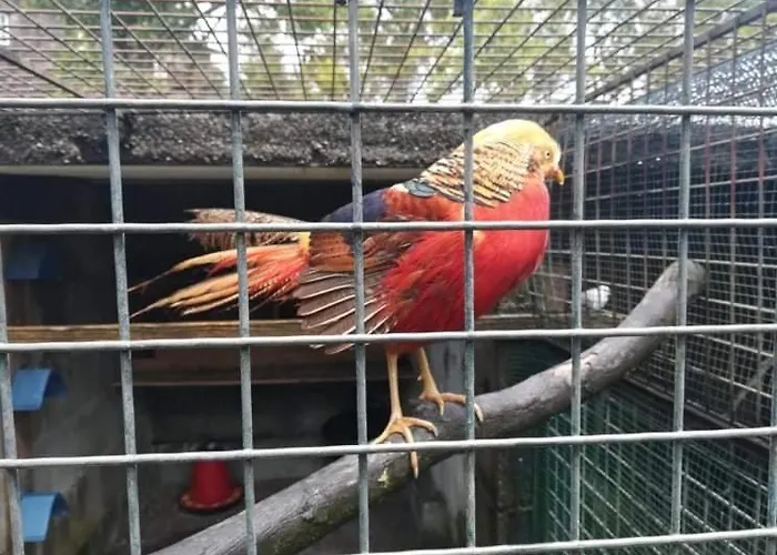 Privatunterkunft Quinta Do Cambeiro Viana do Castelo